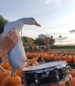 Прикольные гифки (20 гифок) 05.01.2021