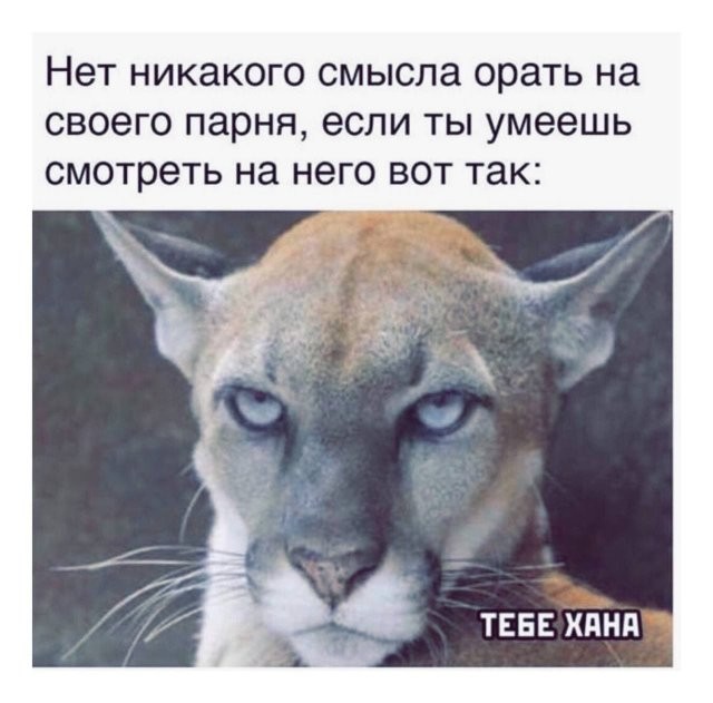 Мемы и приколы про "это" (15 фото)