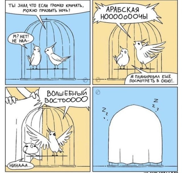 Шутки и мемы из Сети (15 фото)