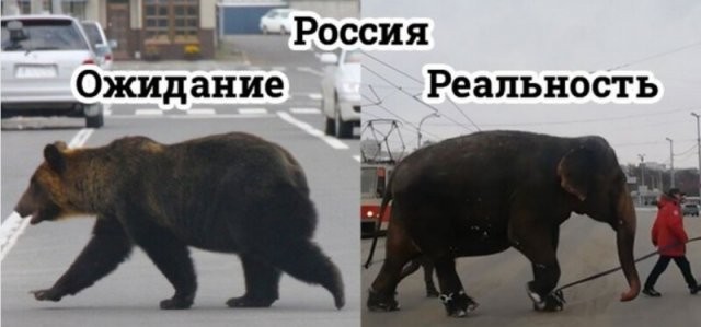 Немного шуток на тему "Ожидание и реальность" (14 фото)