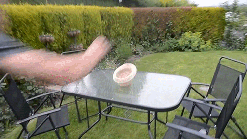 Прикольные гифки (20 гифок) 27.01.2021