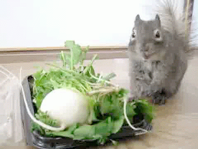 Прикольные гифки (20 гифок) 27.01.2021