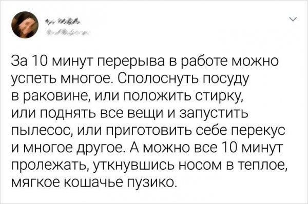 Подборка забавных твитов от пользователей, у которых сложились непростые отношения с уборкой (20 фото)