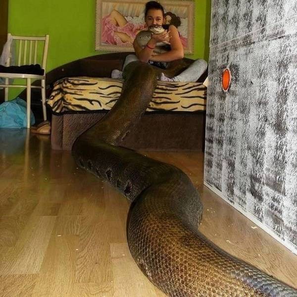 Подборка прикольных фото (30 фото) 29.01.2021