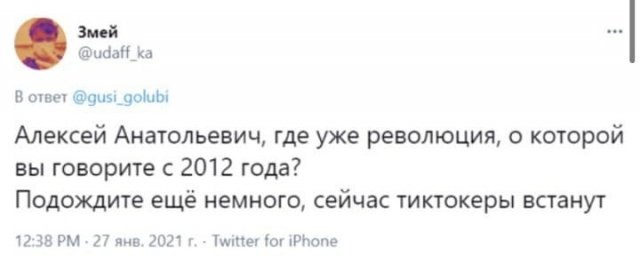 Шутки про тиктокеров-оппозиционеров, которые ничего не понимают в политике (11 фото)