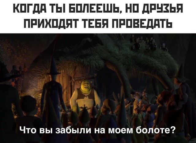 Подборка прикольных фото (30 фото) 29.01.2021