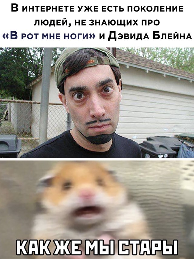 Подборка прикольных фото (30 фото) 29.01.2021