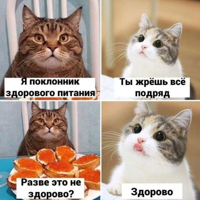 : mainfun.ru