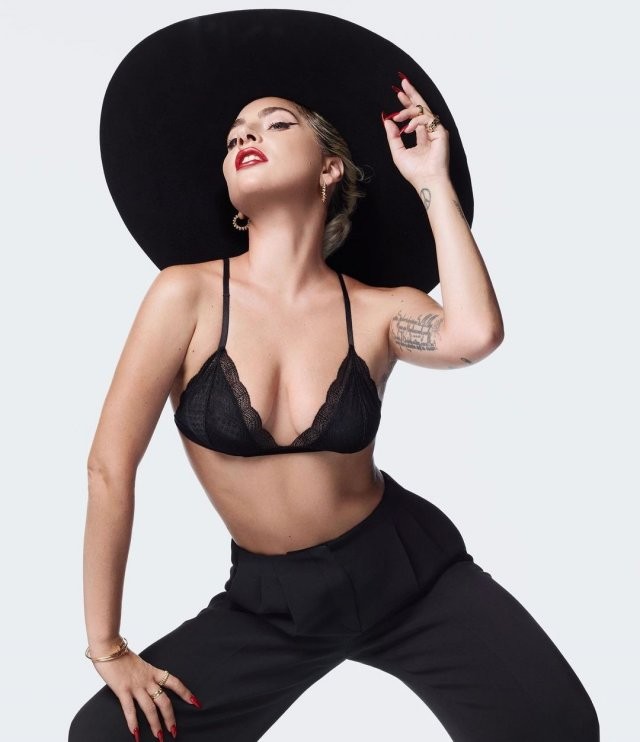 Леди Гага: путь от неизвестного автора песен до мировой звезды топ-уровня (15 фото)