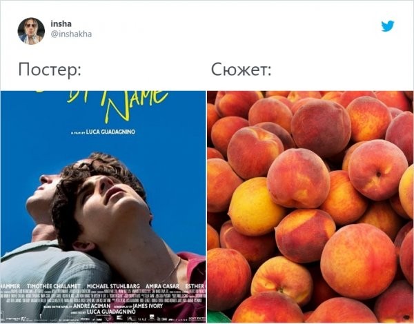 Пользователи Сети сравнили постеры фильмов с их сюжетом (16 фото)