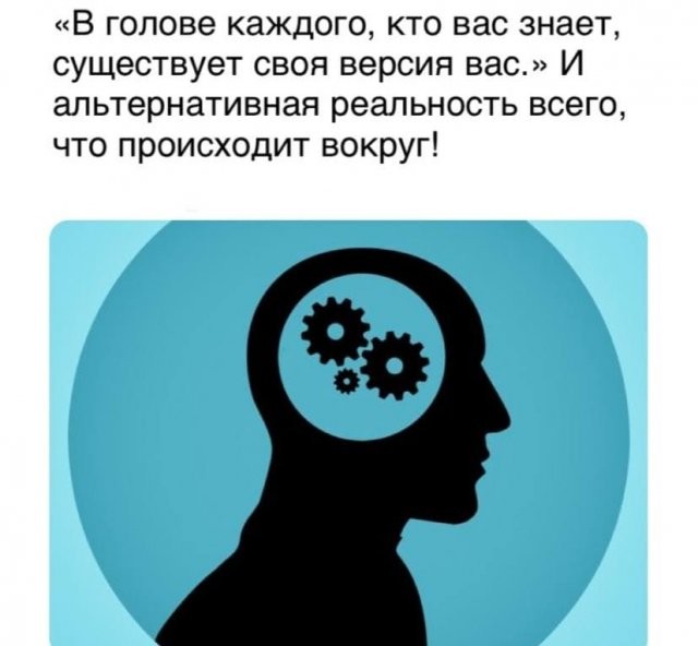 Рассуждения от юных тиктокеров, которые плохо учились в школе (15 фото)