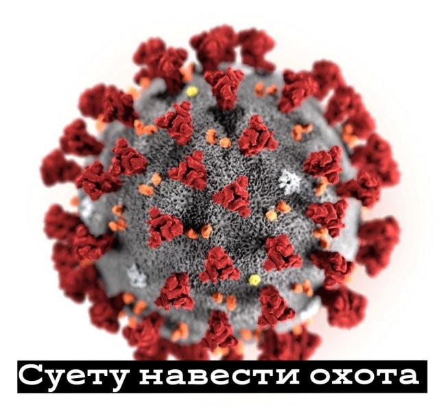 Шутки и мемы про коронавирус и вакцинацию (15 фото)