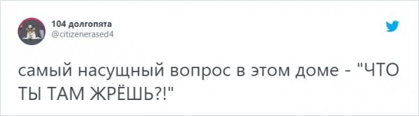 "О чем вы говорите со своими животными?": забавный тред о питомцах в Твиттере (14 фото)