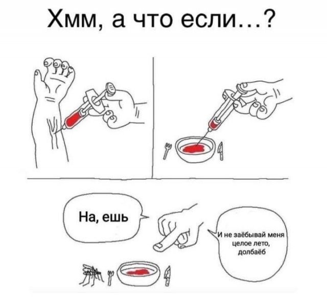 Забавные рассуждения от экспертов, которым еще нужно многому научиться (16 фото)