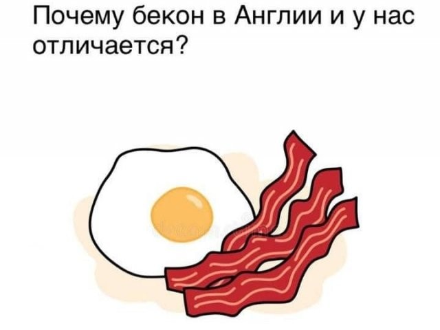 Забавные рассуждения от экспертов, которым еще нужно многому научиться (16 фото)