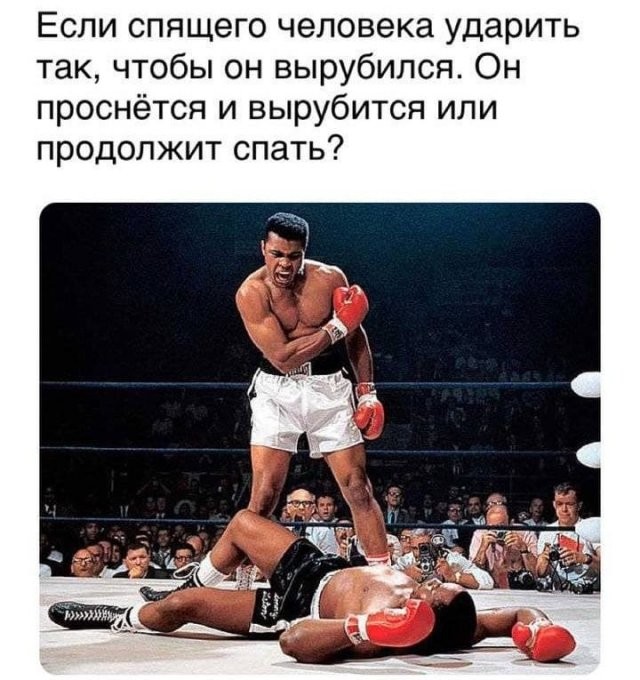 Забавные рассуждения от экспертов, которым еще нужно многому научиться (16 фото)