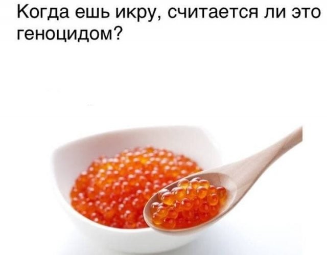 Забавные рассуждения от экспертов, которым еще нужно многому научиться (16 фото)