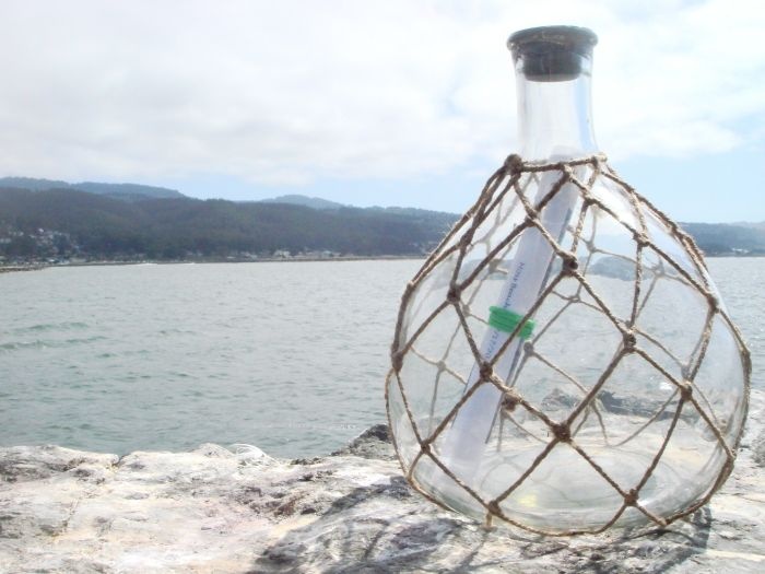 Необычное послание в бутылке из океана (14 фото)