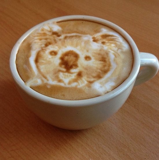 Кофе как произведение искусства (фото)