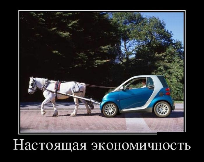 Демотиваторы 10.09.2014 (28 фото)