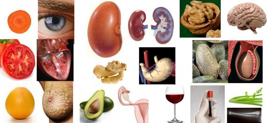 10 продуктов здоровья для вашего организма (11 фото)