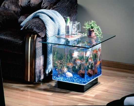 Хочу аквариум! (30 фото)