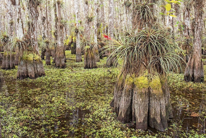 Победители конкурса Smithsonian Wilderness Forever (15 фото)