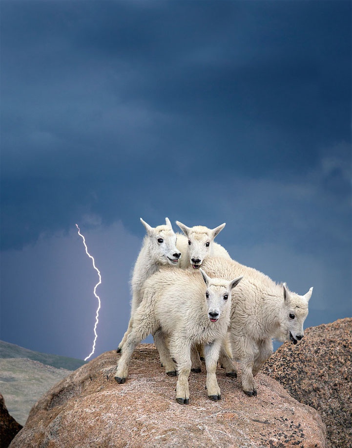 Победители конкурса Smithsonian Wilderness Forever (15 фото)