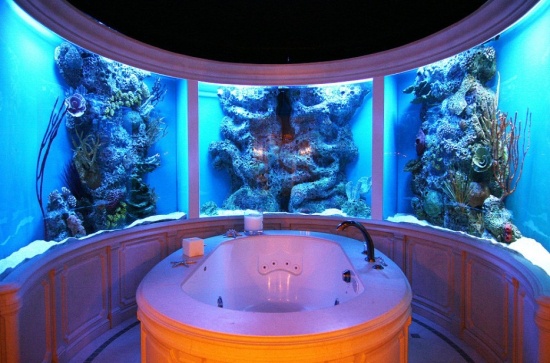 Хочу аквариум! (30 фото)
