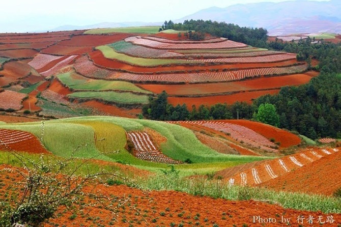 Красота красных террасовых полей в Китае (20 фото)