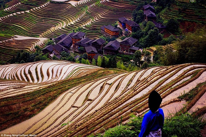 Красота красных террасовых полей в Китае (20 фото)