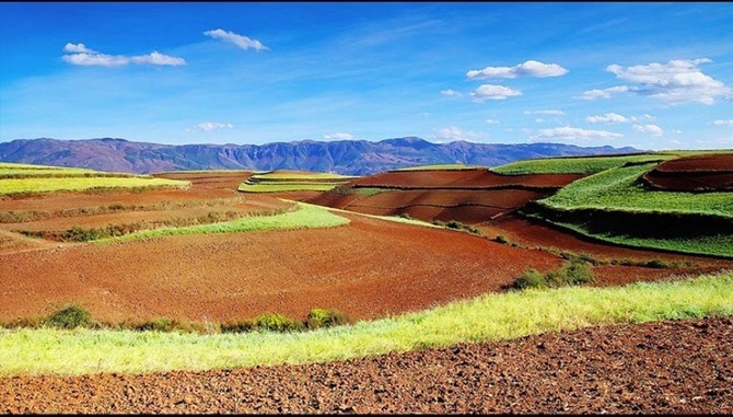 Красота красных террасовых полей в Китае (20 фото)