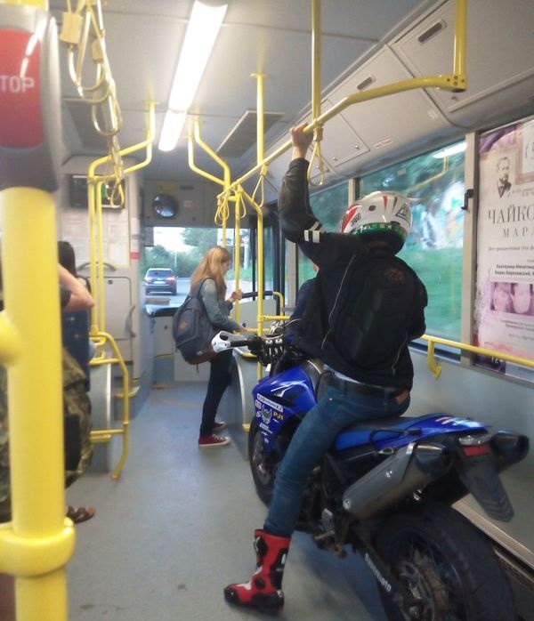 Необычный пассажир городского транспорта (3 фото)