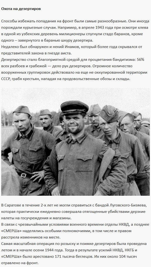 Цифры и данные о дезертирстве в годы Великой Отечественной войны (6 фото)