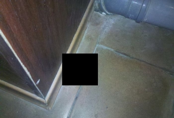 Необычная находка в туалете (3 фото)
