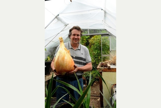 Вес самой тяжелой в мире луковицы составил 8,5 килограмма (3 фото)