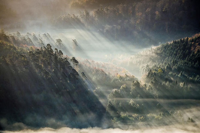 Фантастические туманные пейзажи (29 фото)