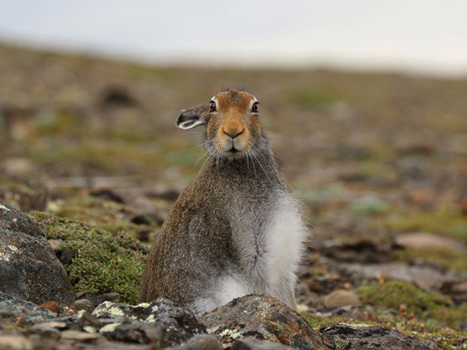 Лучшие фотографии National Geographic сентября 2014 (21 фото)