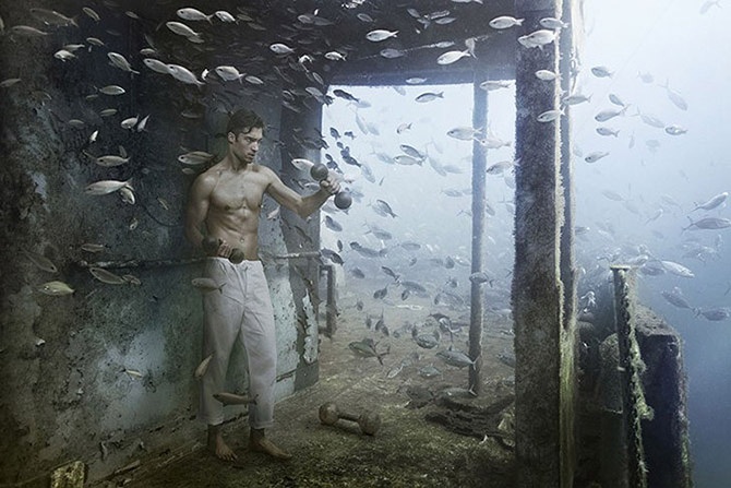 Подводный мир фотографа и дайвера Андреаса Франке (13 фото)