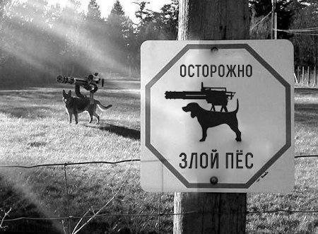 24 оригинальных фотографий 01.10.2014