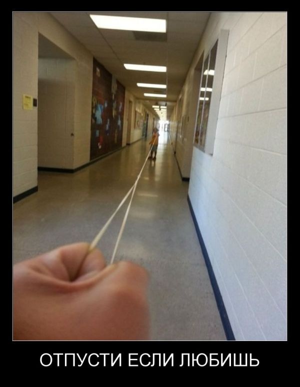 Демотиваторы 02.10.2014 (29 фото)