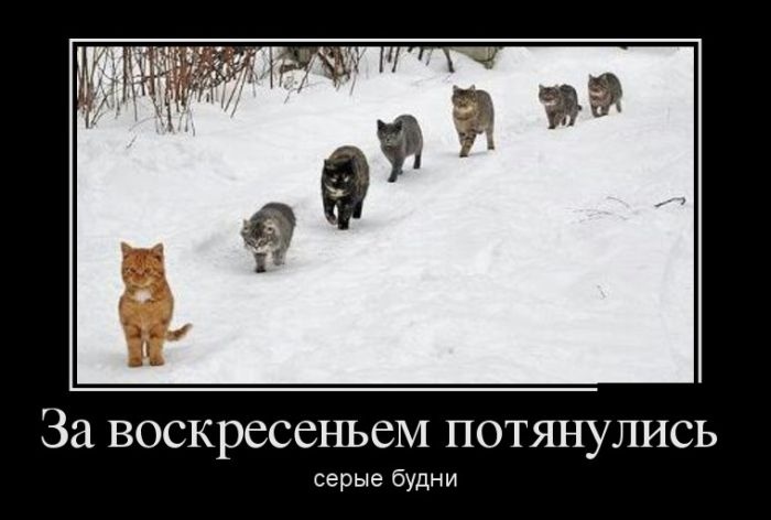 Демотиваторы 02.10.2014 (29 фото)