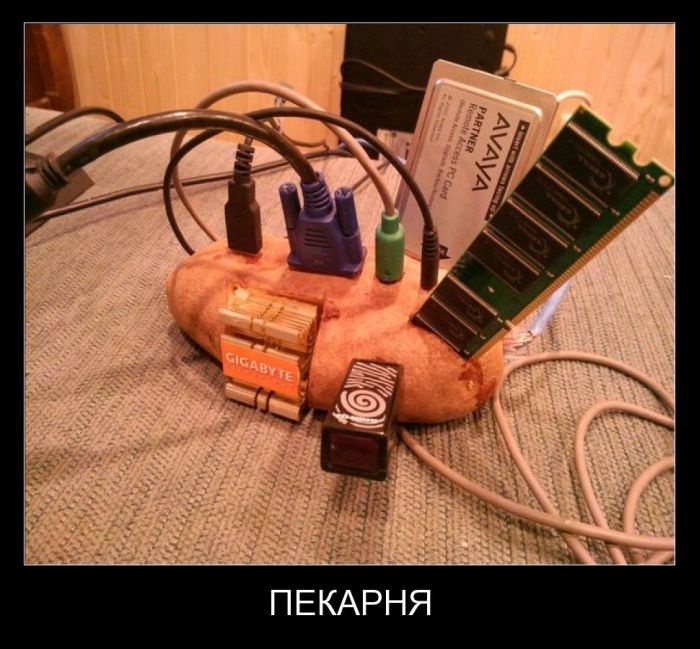 Демотиваторы 02.10.2014 (29 фото)