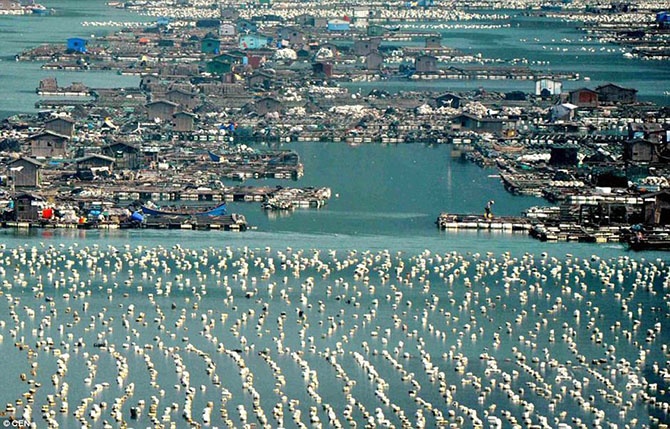 Невероятные плавающие города Китая (12 фото)