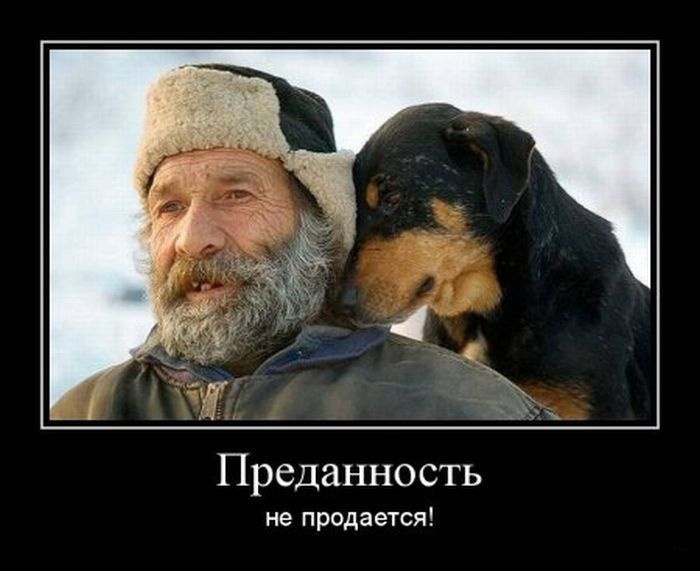 Демотиваторы 06.10.2014 (30 фото)