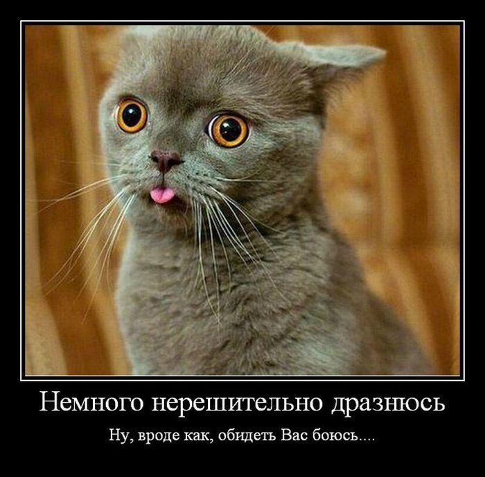 Демотиваторы 06.10.2014 (30 фото)