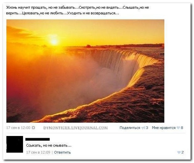 Смешные комментарии из соцсетей от 07.10.2014 (10 фото)