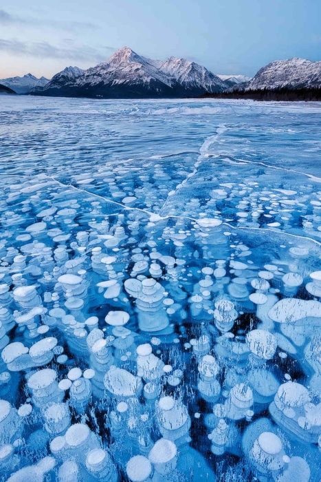 Наша планета - удивительное место! (28 фото)