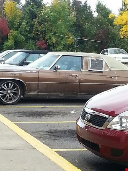 30 оригинальных фотографий 10.10.2014