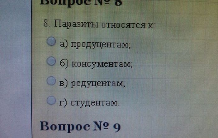 30 оригинальных фотографий 10.10.2014